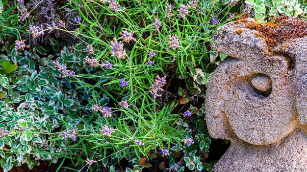 Gartendekorationen aus Steinen und Steinskulpturen zwischen schönem Grün