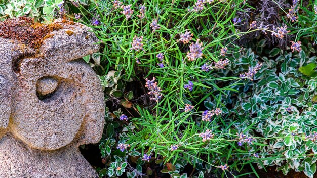 Gartendekorationen aus Steinen und Steinskulpturen zwischen schönem Grün