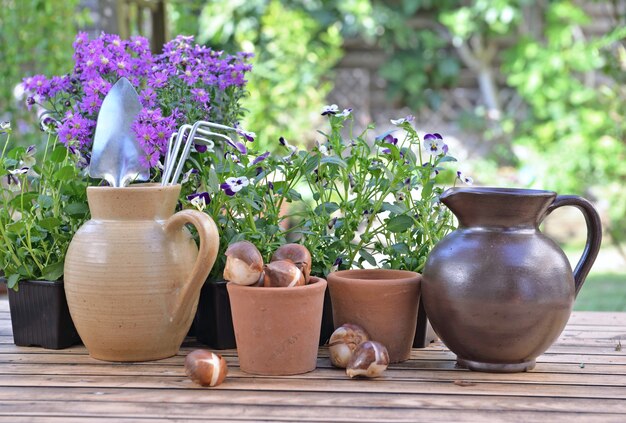 Gartengeräte in einem Wasserkrug mit anderen auf einem Tisch mit Blumen und Zwiebeln in einem Garten platziert