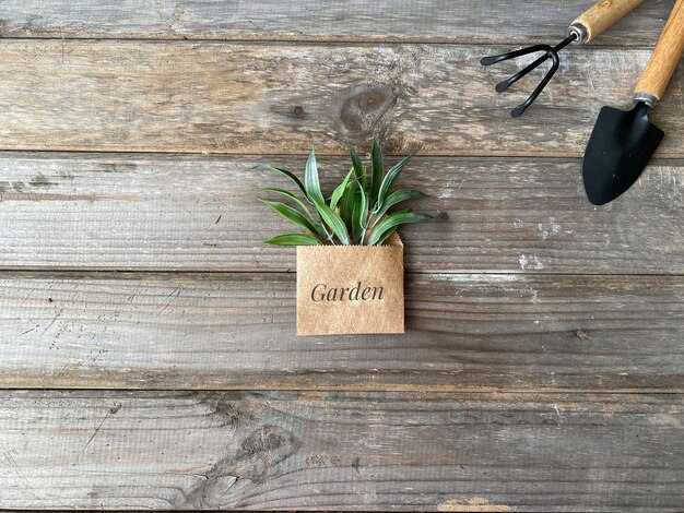 Gartengeräte mit Pflanze in Papiertüte auf Holzhintergrund