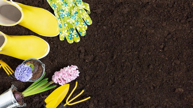 Gartengeräte und Blumen auf dem Bodenhintergrund, Draufsicht Gartenarbeitshobbys des Ausgangsfrühlings