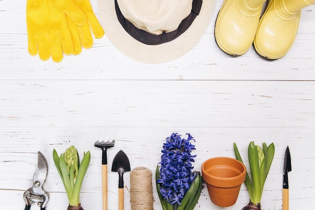 Gartengeräte und Blumen auf Draufsicht des weißen hölzernen Hintergrundes Gartenhobbys des Ausgangsfrühlings