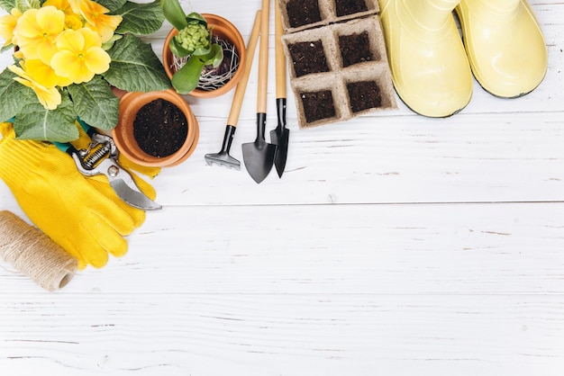 Gartengeräte und Blumen auf Draufsicht des weißen hölzernen Hintergrundes Gartenhobbys des Ausgangsfrühlings