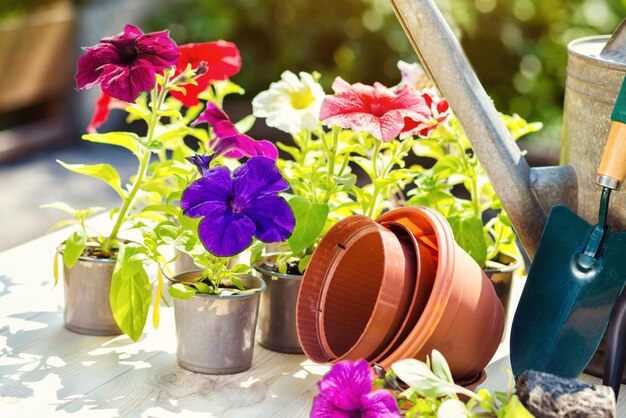 Gartengeräte und Blumen im Garten wie Gießkanne Gummistiefel Vasen Töpfe Gummihandschuhe