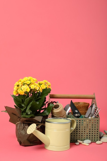 Gartengeräte und Zubehör auf rosa Hintergrund