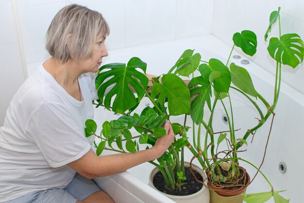 Gartenhaus. Frau wässert und wäscht grüne Pflanzen im Hauptbad.