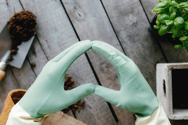 Foto gartenhobbykonzept mit pflanze und schmutz