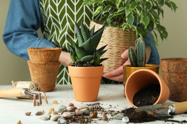 Gartenkonzept auf weißem strukturiertem Tisch, Vorderansicht