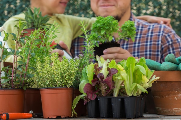 Gartenmann, Vater und Junge, Kind im Hinterhof. Aktivität, die die geistige und geistige Gesundheit stimuliert. Pflanzen und Anbau von würzigen Kräutern, umweltfreundliches Hobby und Freizeit, Familienzeitkonzept.