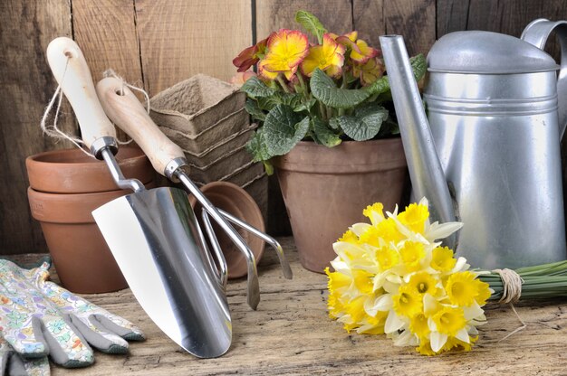 Foto gartenmöbel und blumen