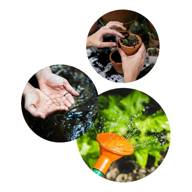 Gartenpflanzen png-Kreis-Abzeichenelemente durchsichtiger Hintergrund
