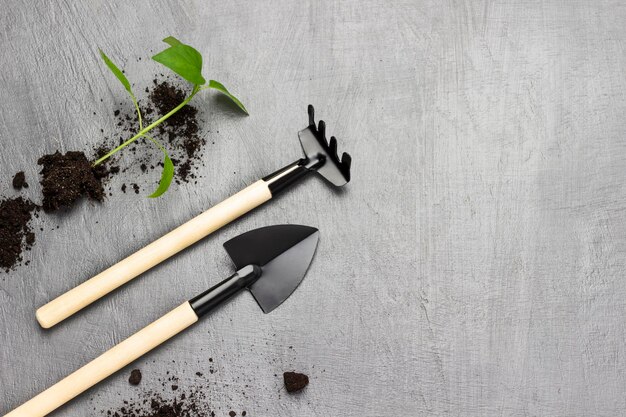 Gartenschaufel und Rechen. Grüner Spross mit Erde