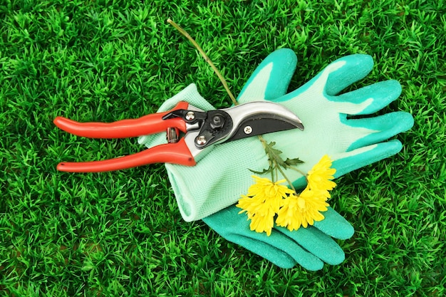 Foto gartenschere mit blume auf hintergrund des grünen grases