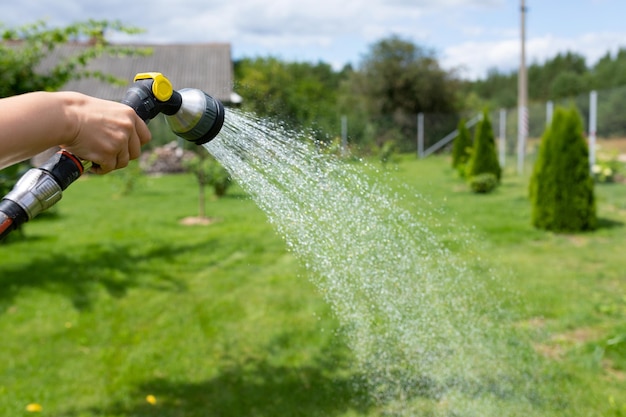 Gartenschlauch mit Sprühgerät gießt Wasser auf den Rasen