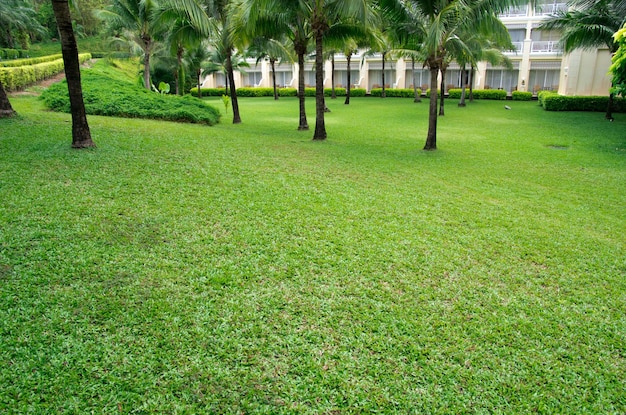 Gartensteinweg mit Gras