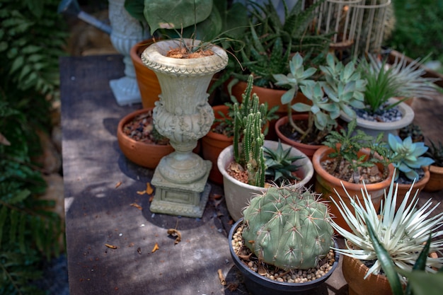 Gartentisch des Gartens der Kaktusdekoration im Freien