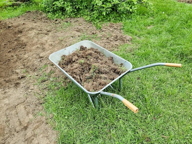 Gartenwagen aus Metall im Garten Gartenarbeiten im Teil des Blumengartenkonzepts der Landwirtschaft und GartenarbeitArbeiten Sie im Frühling beim Pflanzen von Setzlingen auf dem Blumenbeet und dem Karren in einem Park