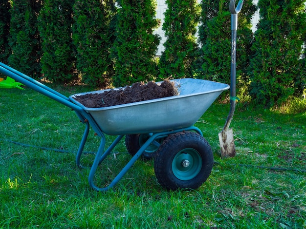 Gartenwagen zum Pflanzen von Pflanzen im Garten mit schaufelgrünem Baum