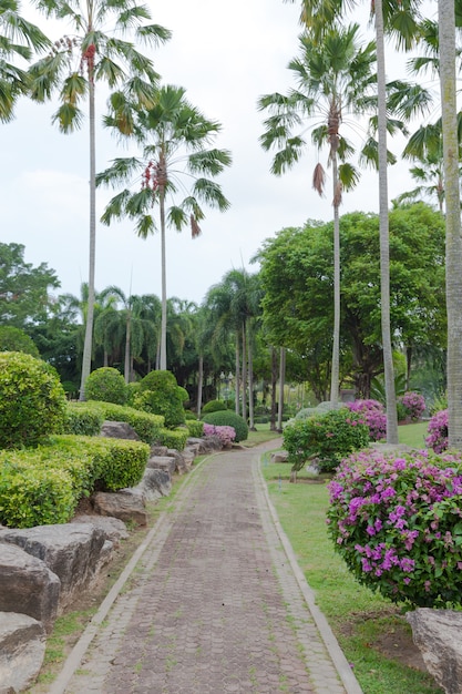 Foto gartenweg