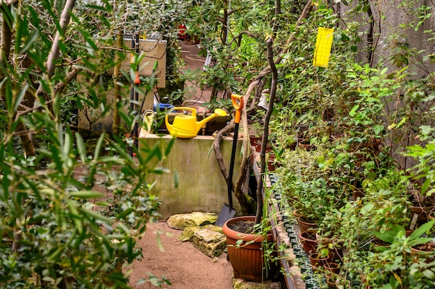 Gartenwerkzeuge. gelbe Gartengießkanne. schöner botanischer garten. schöne grüne Pflanzen. Grün herum.