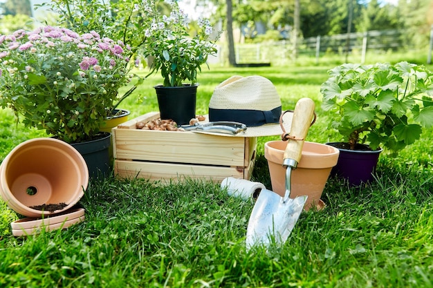 Gartenwerkzeuge Holzkiste und Blumen im Sommer