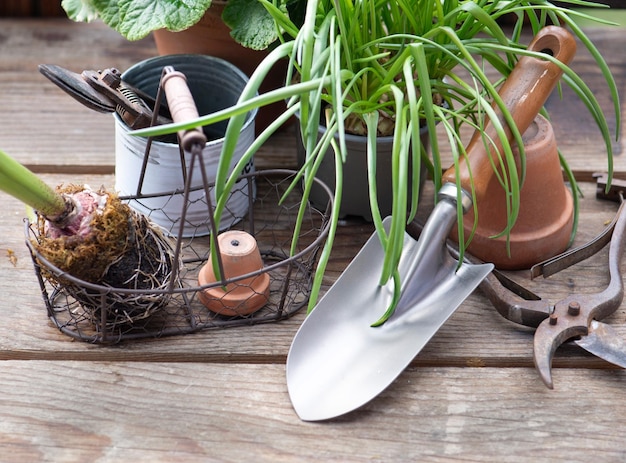 Gartenwerkzeuge mit einer kleinen Schaufel auf einem Holztisch zwischen Blumentopf und Pflanze