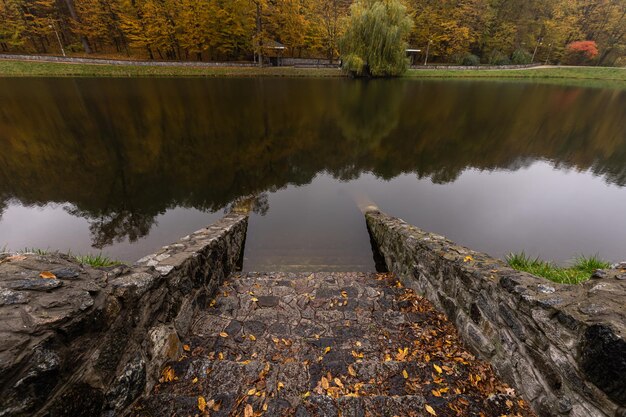 Gasse im nebligen Park. Herbst, Regenwetter