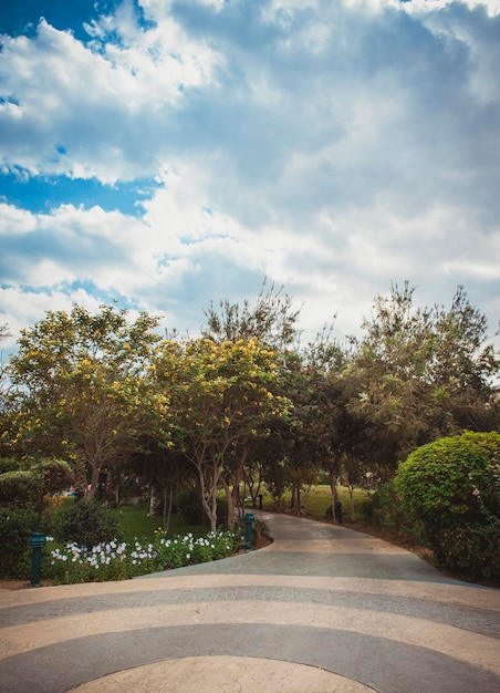 Gasse im Park die Wolken