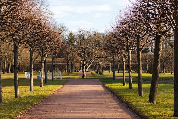 Gasse im Park in Puschkin im Herbst