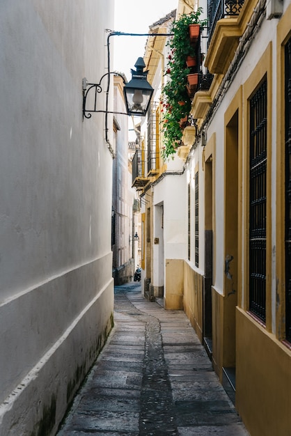 Gasse inmitten von Gebäuden in der Stadt