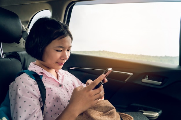 Gata do carro viajando de férias