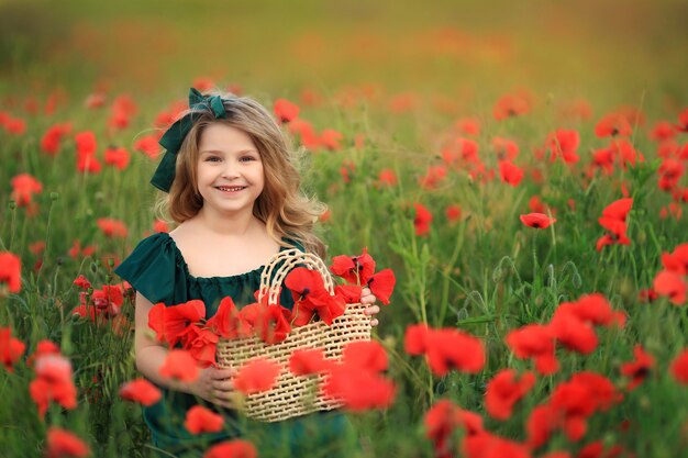 Gata do vestido verde em um campo de papoulas