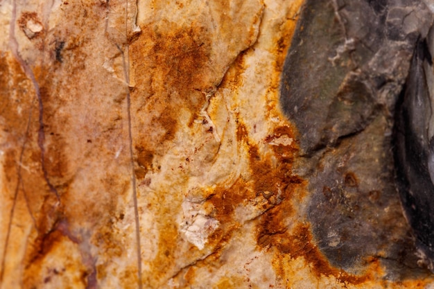 Ágata de piedra mineral macro sobre un fondo negro