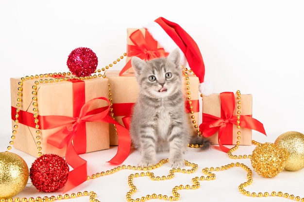 gatinho com enfeites de natal vermelho e dourado, chapéu de papai noel e presentes