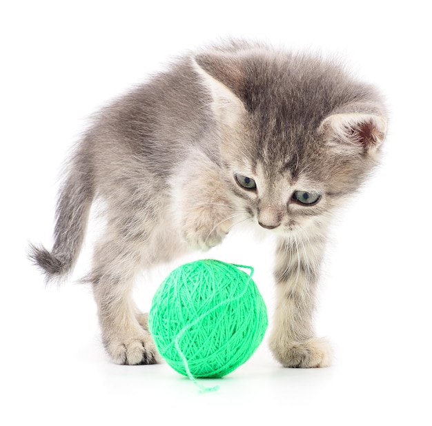 Gatinho com novelo de lã isolado em fundo branco