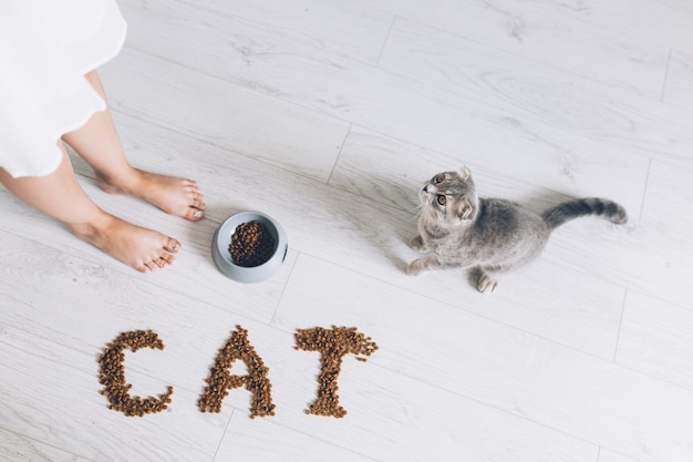 Gatinho em tigela com refeição