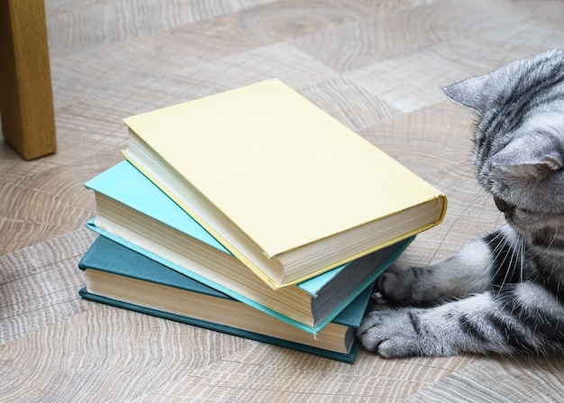 Gatinho fofo com livros no chão de madeira clara