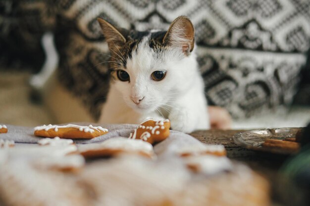 Foto gatinho fofo sentado com mulher e fazendo juntos biscoitos de gengibre de natal na mesa rústica