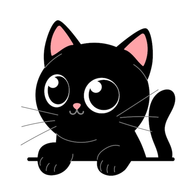 Gatinho preto bonito em fundo branco