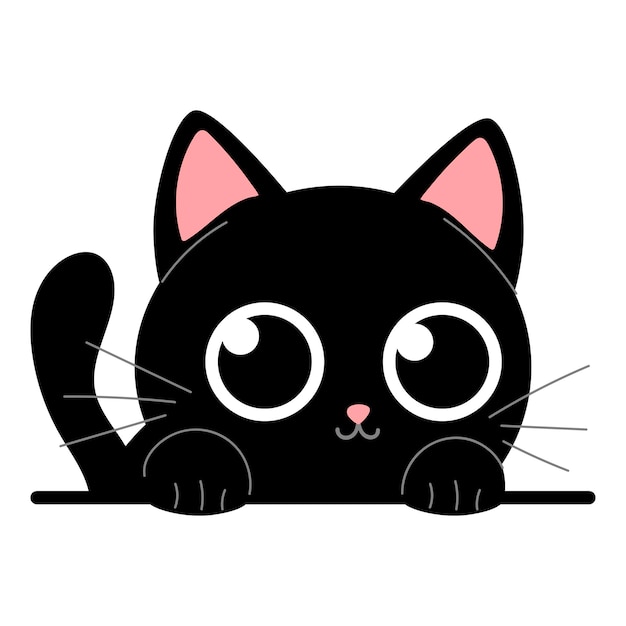Gatinho preto bonito em fundo branco