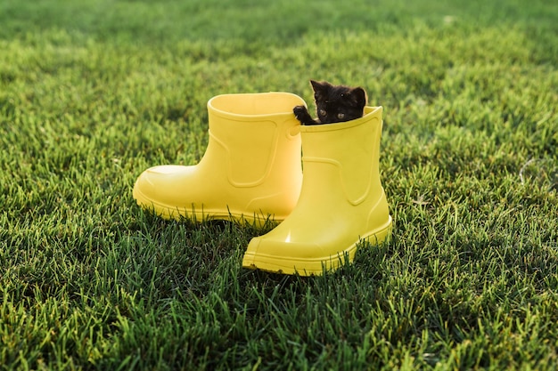 Gatinho preto engraçado sentado em bota amarela na grama Conceito de imagem bonito para calendários de cartões postais e livretos com animal de estimação