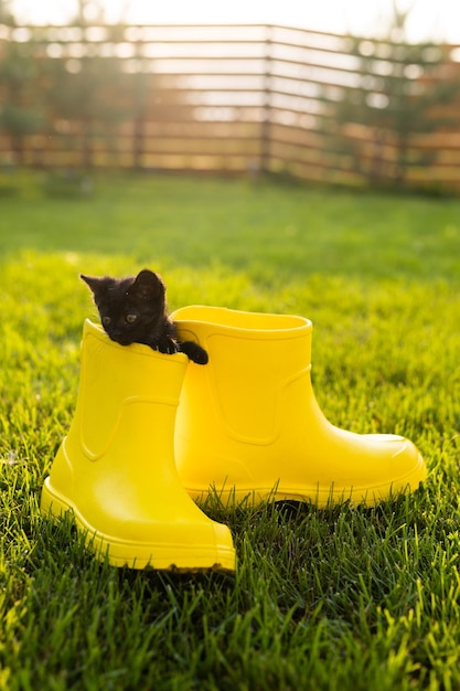 Gatinho preto engraçado sentado em bota amarela no conceito de imagem fofa de grama para calendários de cartões postais e