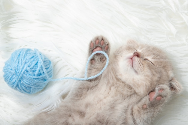 Gatinho ruivo dorme em um tapete branco. Dormir. relaxamento. Fechar-se