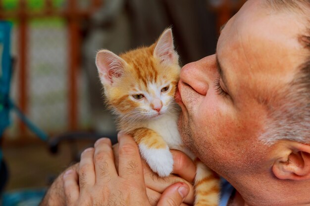 Foto gatito atigrado en manos de un hombre