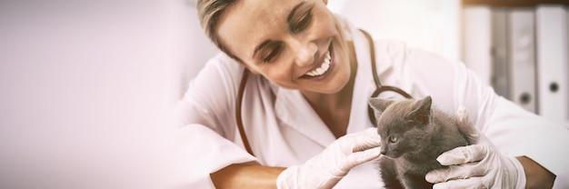 Gatito examen veterinario femenino feliz en la clínica