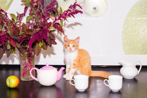 Un gatito de jengibre se sienta en una encimera de cocina junto a un jarrón de flores y vajilla Lindos gatos domésticos en el interior de la casa