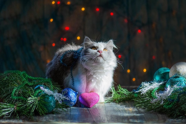 Gatito jugando con juguetes de Navidad Gato debajo de un árbol de Navidad Feliz celebración con juguetes de Navidad