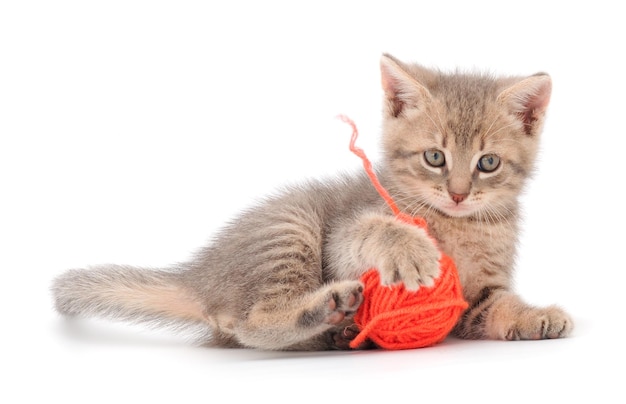 Gatito jugando con un ovillo de lana