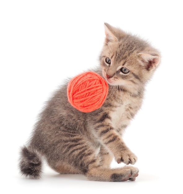 Gatito jugando con un ovillo de lana