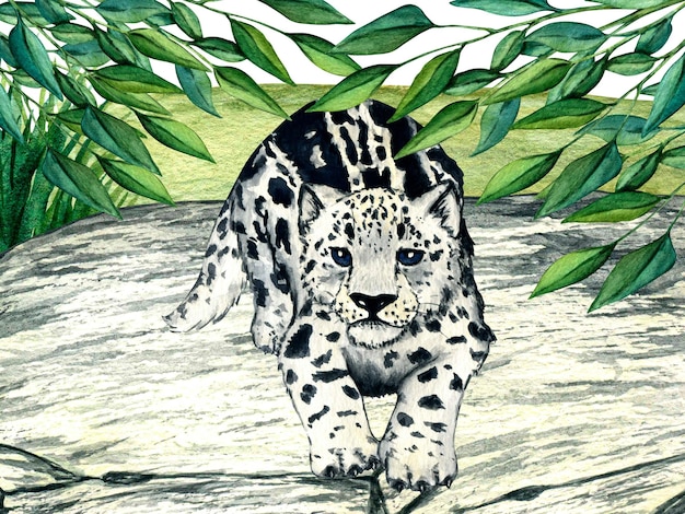 Gatito del leopardo de las nieves de los animales del bosque salvaje de la acuarela en la ilustración del bosque de piedra para el diseño de la guardería